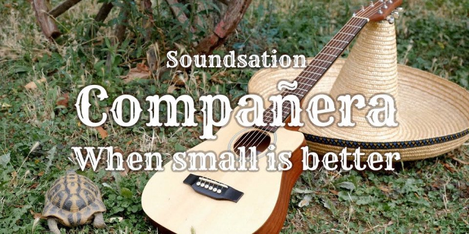 Compañera: roundback travel guitar